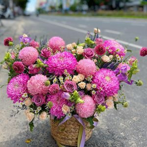 Cúc mẫu đơn, cúc tana, hồng, hoa sao, hoa scabiosa
